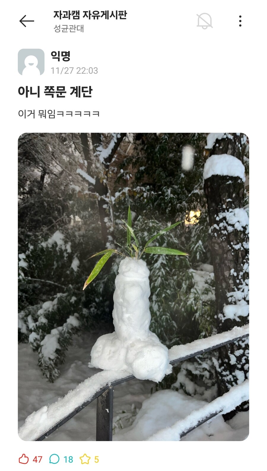 첫눈으로 동심을 되찾은 대학생들 근황_4.jpg