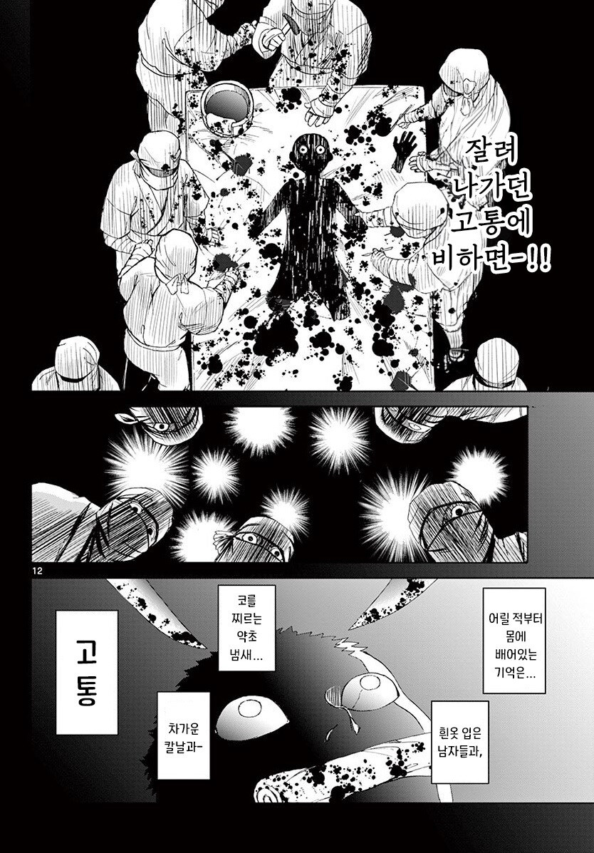 그림자와 그림자 만화 3부작 완결까지_12.jpg