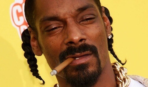 포나)트윈테일 스눕독은 뭐지?_2.jpg