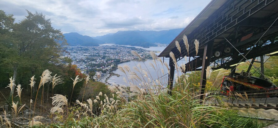 처음으로 혼자 떠난 해외여행 - 도쿄 4편 후지산 배경 문제의 그 장소를 가보다_33.jpg