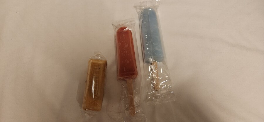 처음으로 혼자 떠난 해외여행 - 도쿄 4편 후지산 배경 문제의 그 장소를 가보다_55.jpg