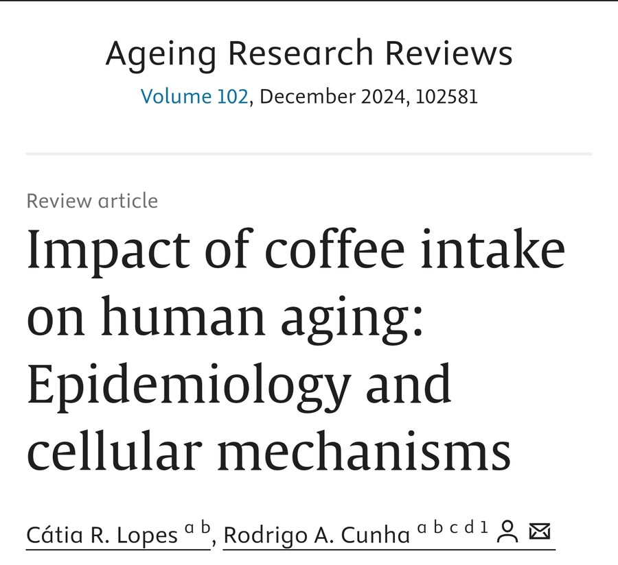 news) 커피가 노화 억제에 도움이 된다_2.jpg
