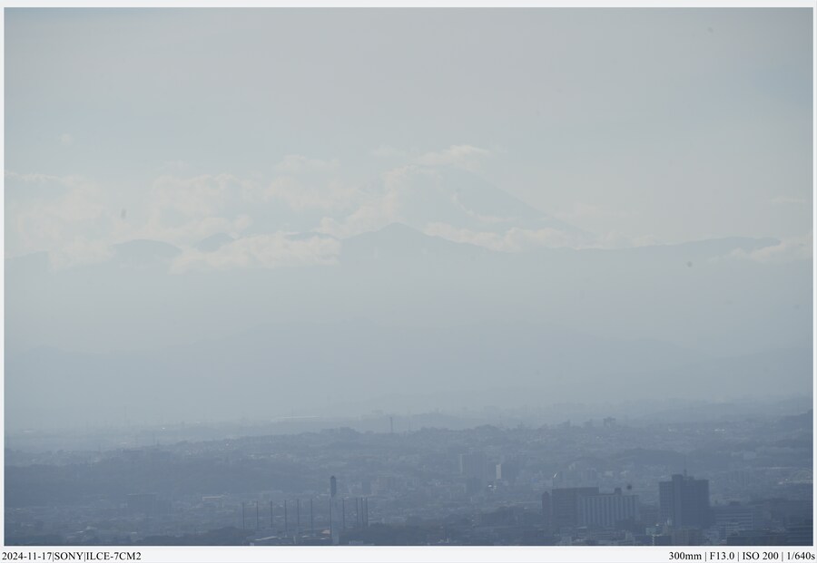 도쿄 여행기 [24.11.16~17] - 2일차, 시부야 스카이_20.jpg