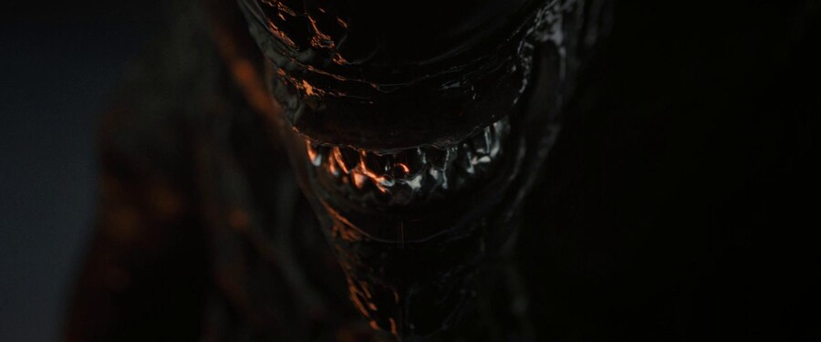 [스포일러] 영화 '에일리언: 로물루스' 65종 스틸_39.jpg