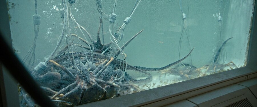 [스포일러] 영화 '에일리언: 로물루스' 65종 스틸_42.jpg