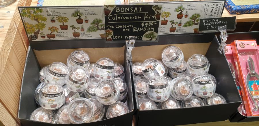 오사카 여행 1번째 이야기=오사카 첫째날은 그냥 무조건~돌아다녀보기-스압-_59.jpg