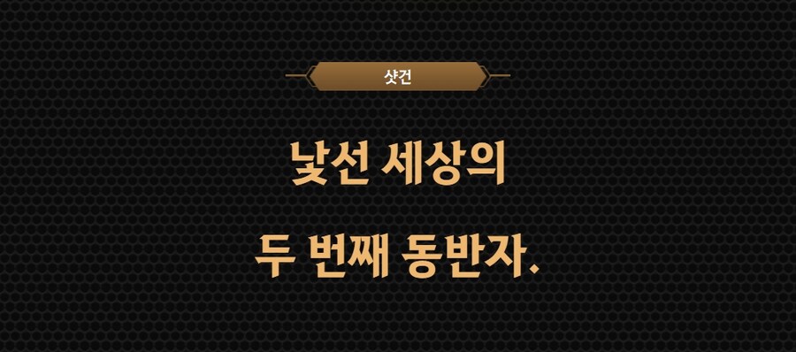 [검은사막] 대놓고 신규 총캐릭 떡밥을 풀었네_4.jpg