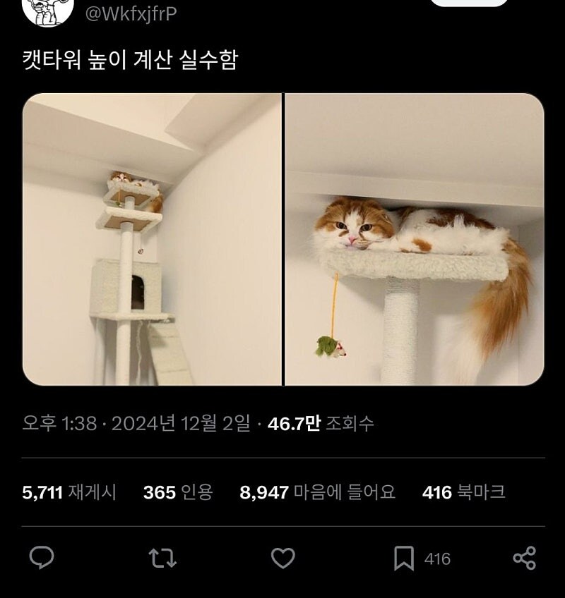 캣타워 높이 계산 실수함_1.jpg