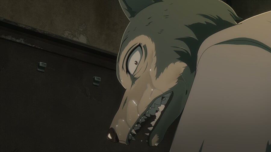 [비스타즈] 퍼리 대흥분_1.png