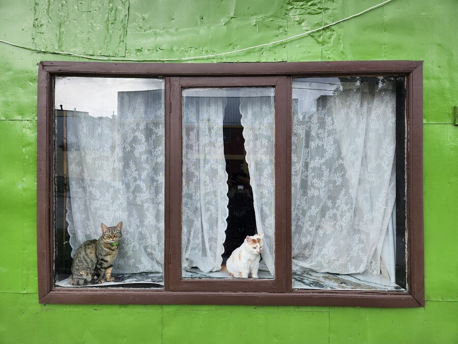 40대 아재의 남미여행 - 파타고니아 - 토레스 델 파이네_6.jpg