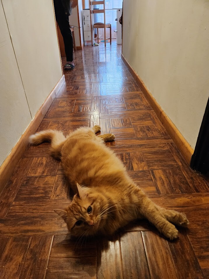 40대 아재의 남미여행 - 파타고니아 - 토레스 델 파이네_48.jpg