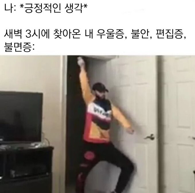 우울) 가벼운 우울증 밈 모음_8.jpg