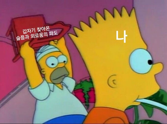 우울) 가벼운 우울증 밈 모음_13.jpg