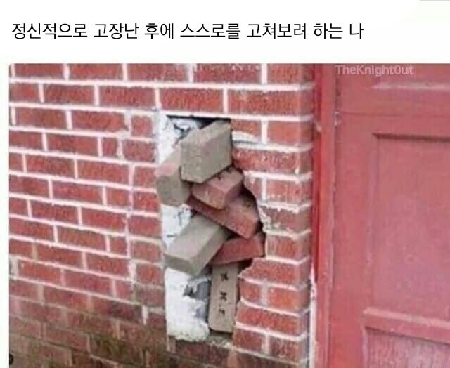 우울) 가벼운 우울증 밈 모음_14.jpg