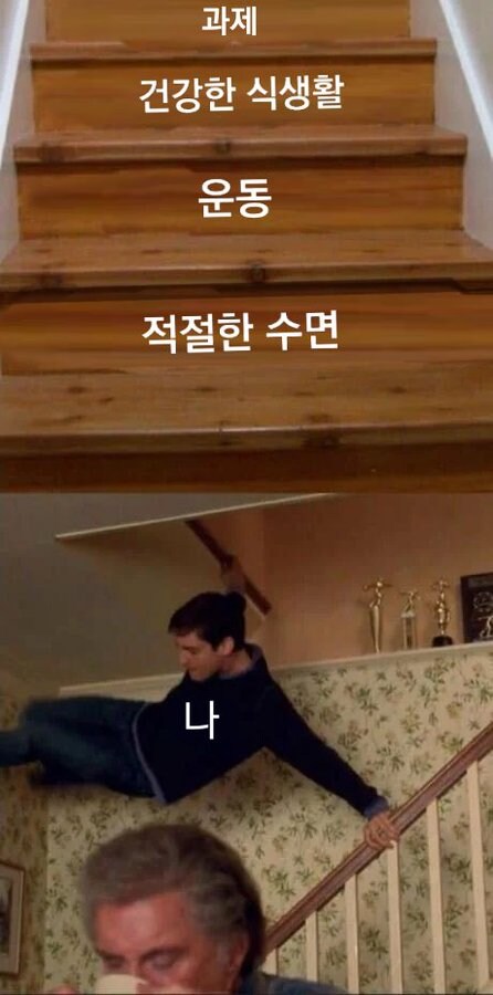 우울) 가벼운 우울증 밈 모음_19.jpg