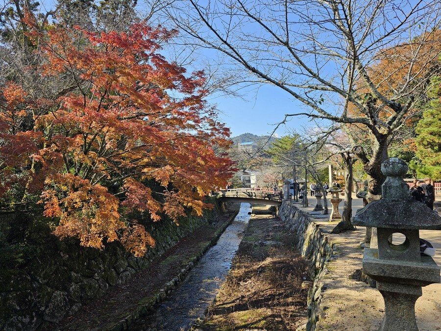 [수기] 일본 세토내해 늦가을 단풍여행 - 2.미야지마-히로시마_16.jpg