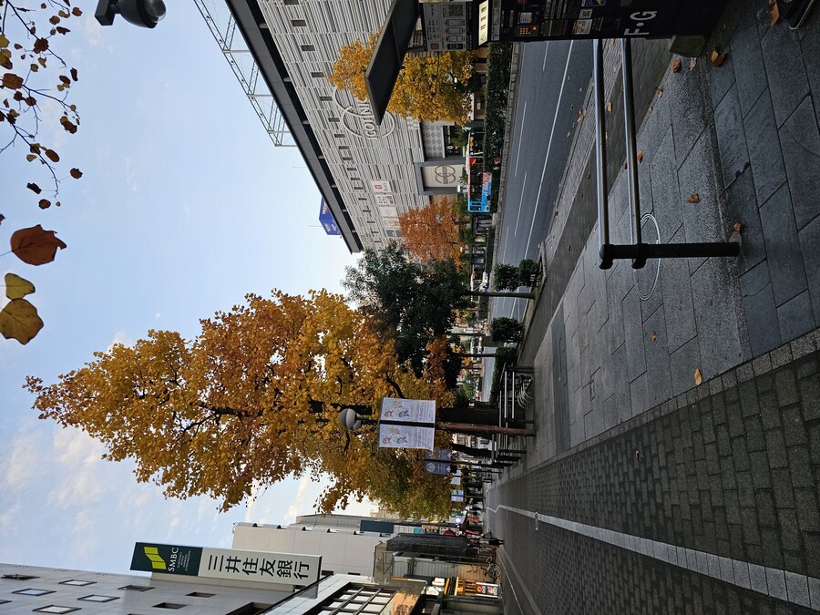 [수기] 일본 세토내해 늦가을 단풍여행 - 2.미야지마-히로시마_1.jpg