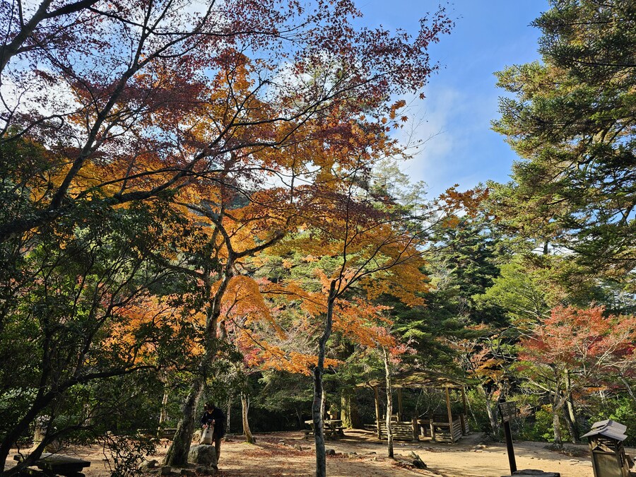 [수기] 일본 세토내해 늦가을 단풍여행 - 2.미야지마-히로시마_19.jpg