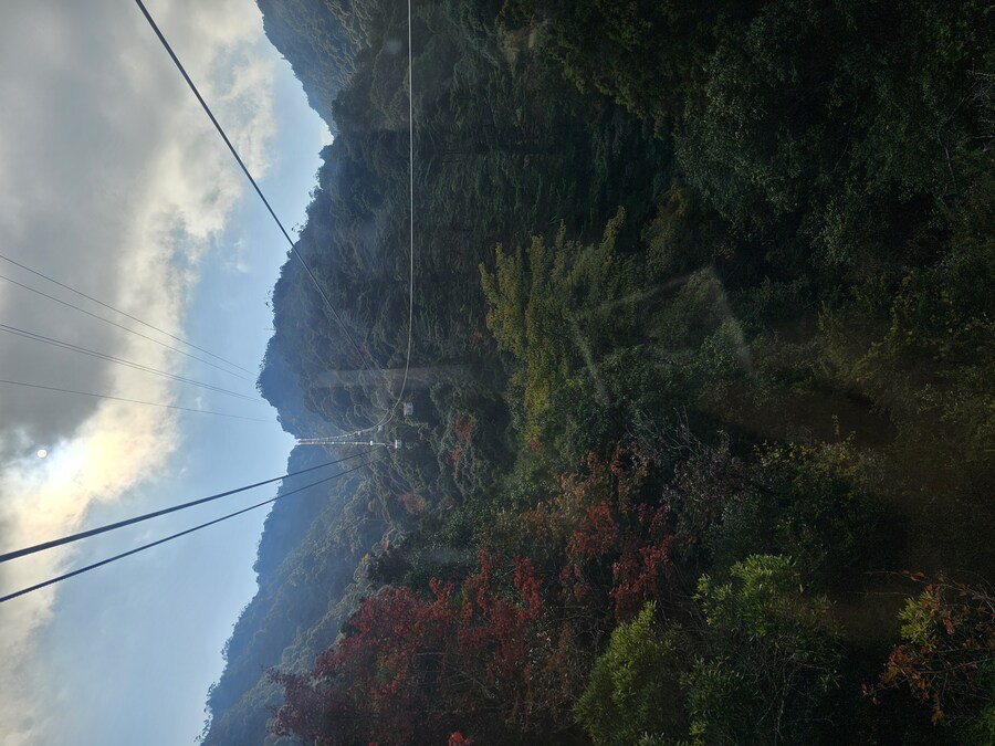 [수기] 일본 세토내해 늦가을 단풍여행 - 2.미야지마-히로시마_22.jpg