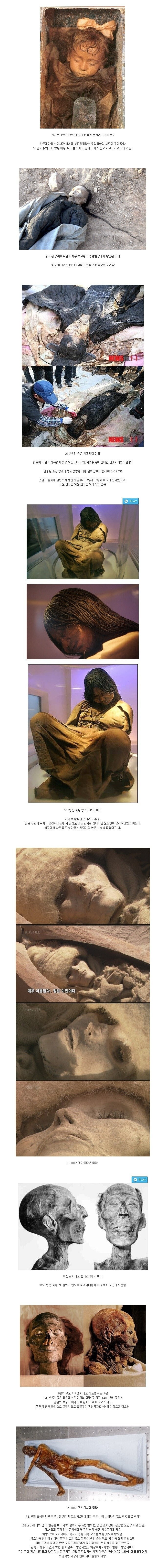 (공포주의) 보존 상태가 좋은 미라_2.jpg