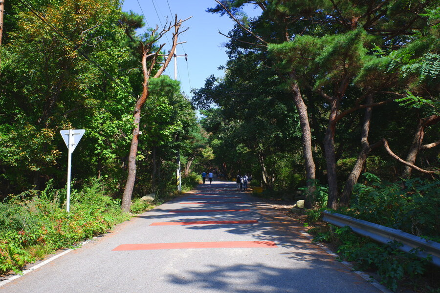 삼성산에 오르다 그리고 예술공원을 걷다_3.jpg