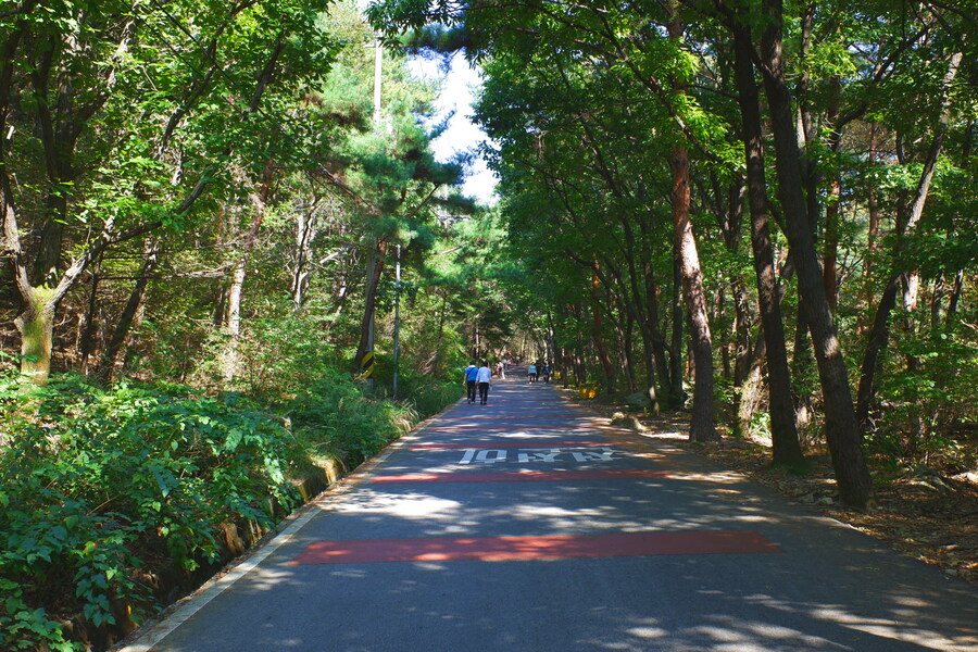 삼성산에 오르다 그리고 예술공원을 걷다_4.jpg