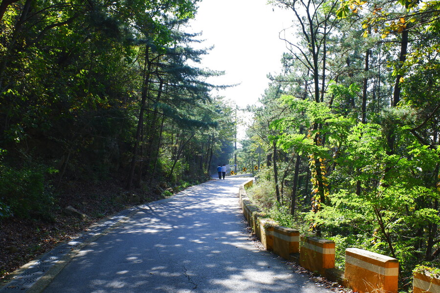 삼성산에 오르다 그리고 예술공원을 걷다_7.jpg