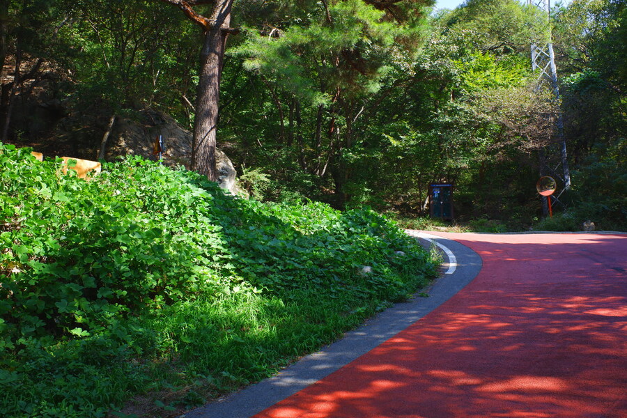삼성산에 오르다 그리고 예술공원을 걷다_12.jpg