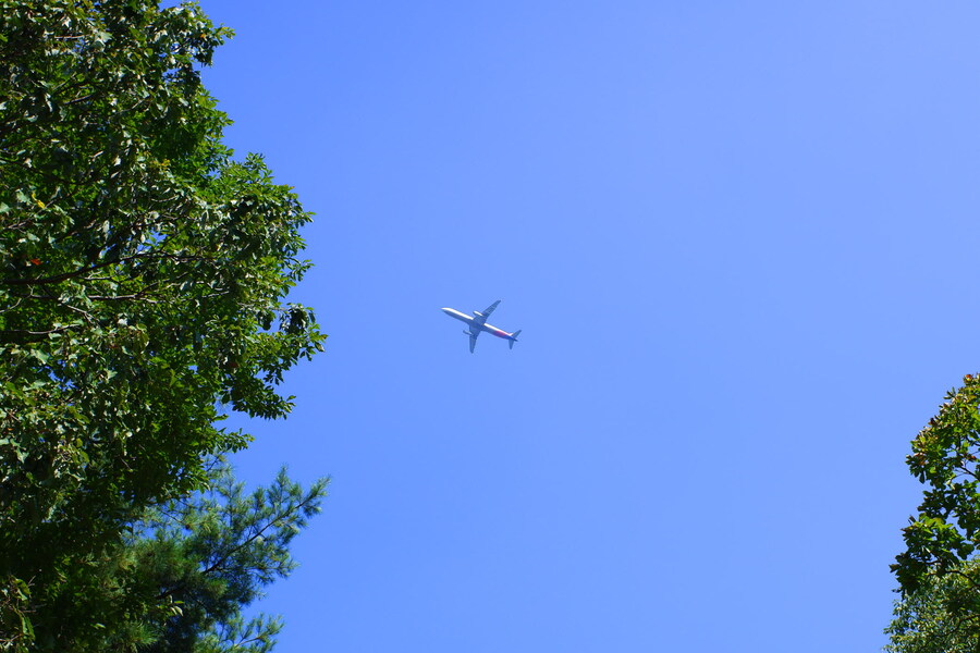 삼성산에 오르다 그리고 예술공원을 걷다_15.jpg