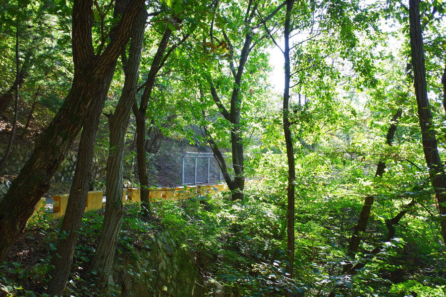 삼성산에 오르다 그리고 예술공원을 걷다_16.jpg