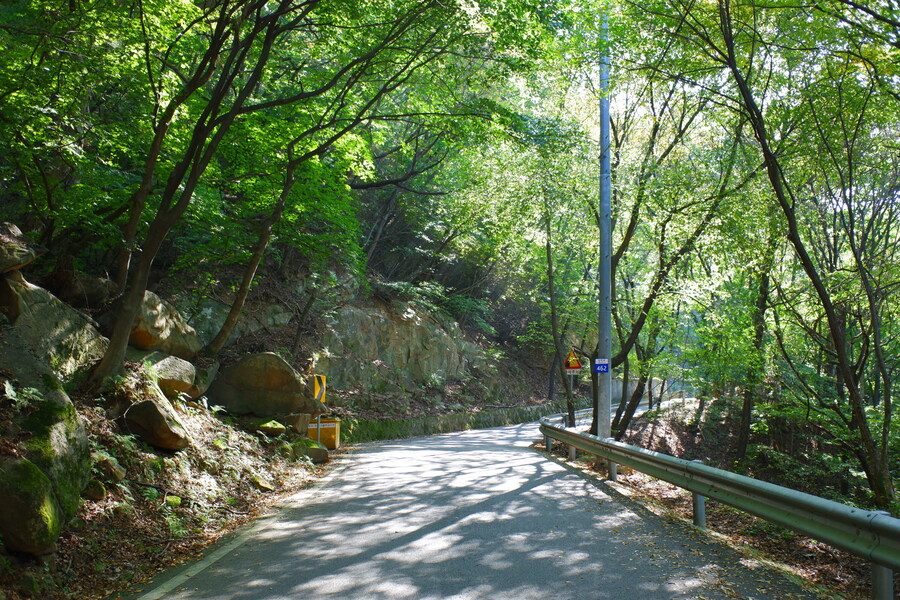 삼성산에 오르다 그리고 예술공원을 걷다_17.jpg