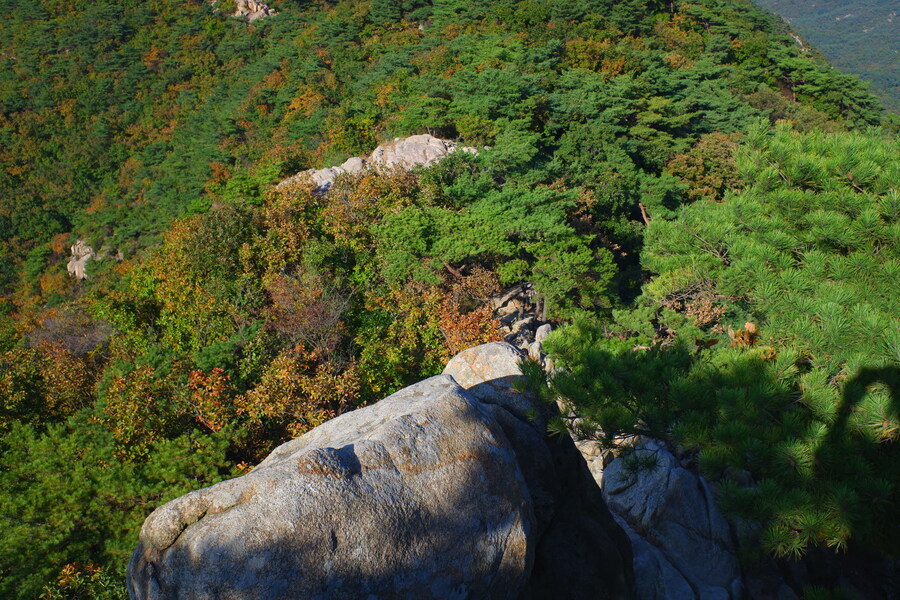 삼성산에 오르다 그리고 예술공원을 걷다_41.jpg