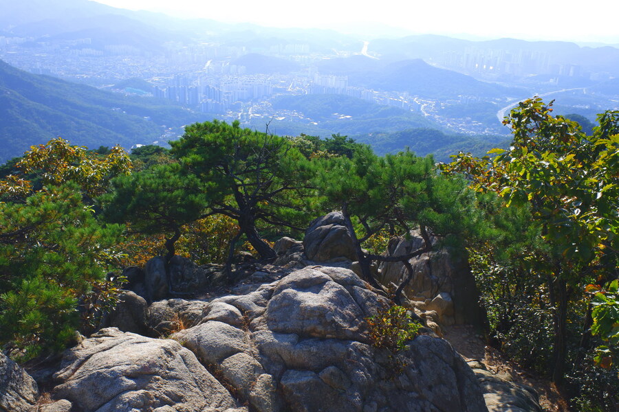 삼성산에 오르다 그리고 예술공원을 걷다_44.jpg