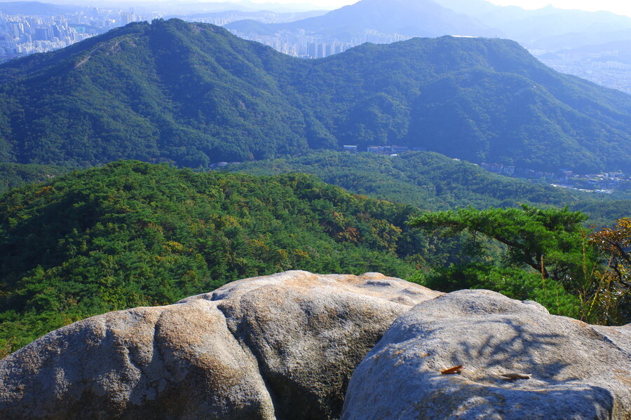 삼성산에 오르다 그리고 예술공원을 걷다_47.jpg