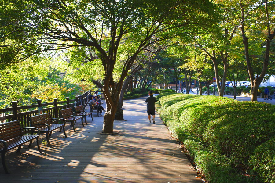 삼성산에 오르다 그리고 예술공원을 걷다_56.jpg