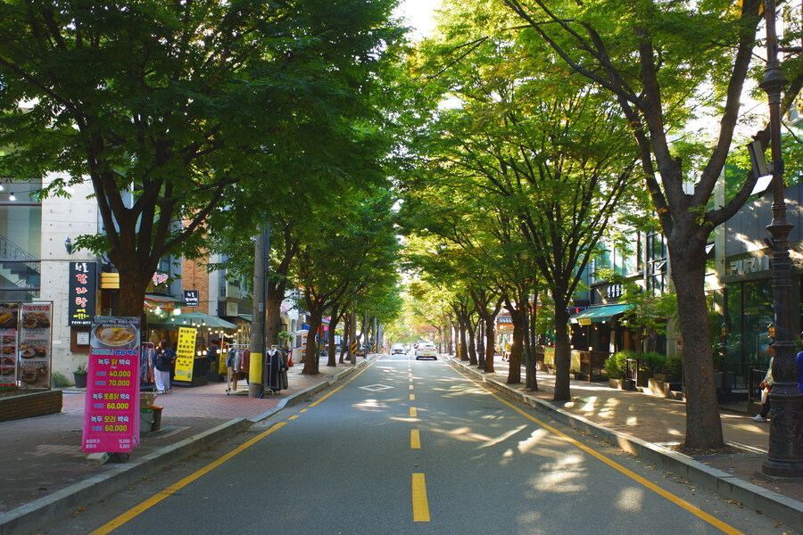 삼성산에 오르다 그리고 예술공원을 걷다_57.jpg