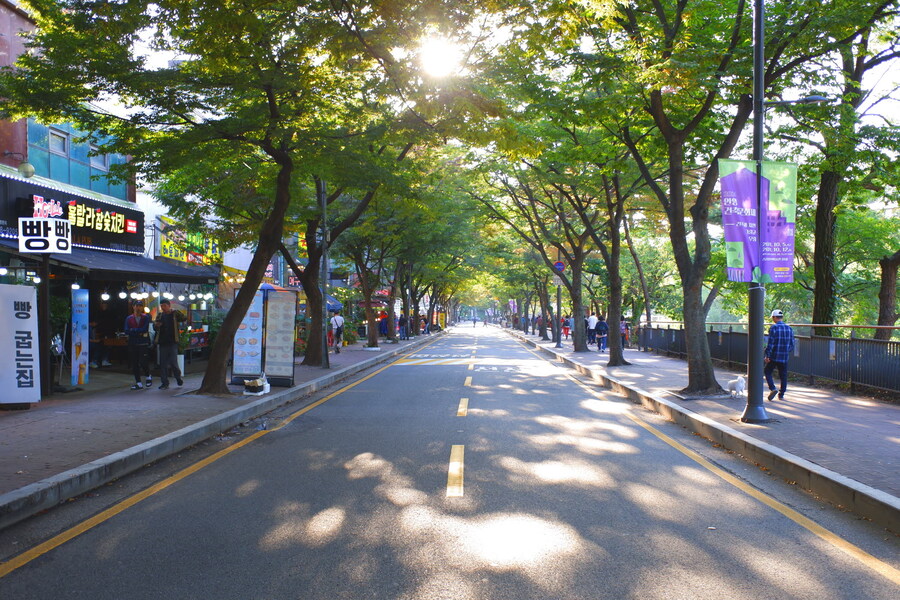 삼성산에 오르다 그리고 예술공원을 걷다_58.jpg