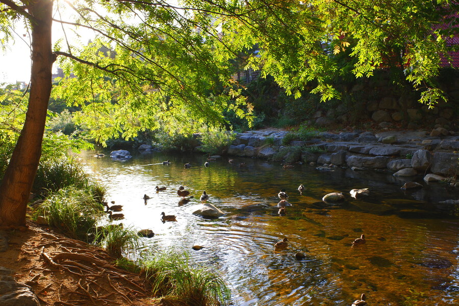 삼성산에 오르다 그리고 예술공원을 걷다_68.jpg