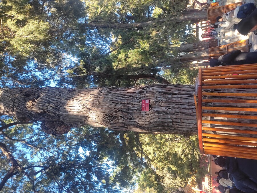 북경 여행 5_9.jpg