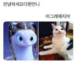 안녕하세요다현언니 어그래예지야 실사화_1.jpg