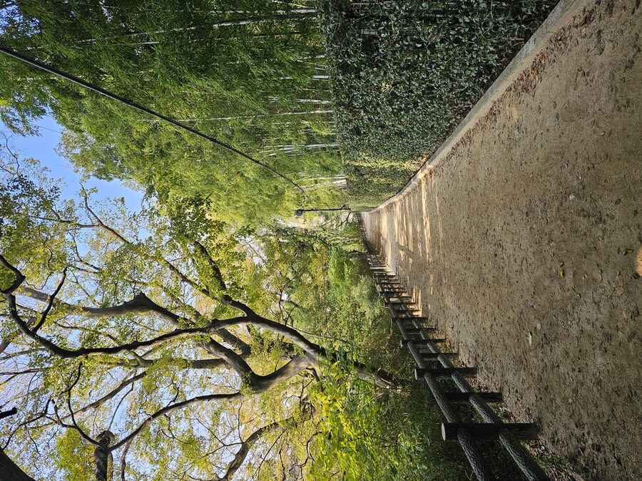 일본 세토내해 늦가을 단풍여행 - 3.오카야마-구라시키_15.jpg