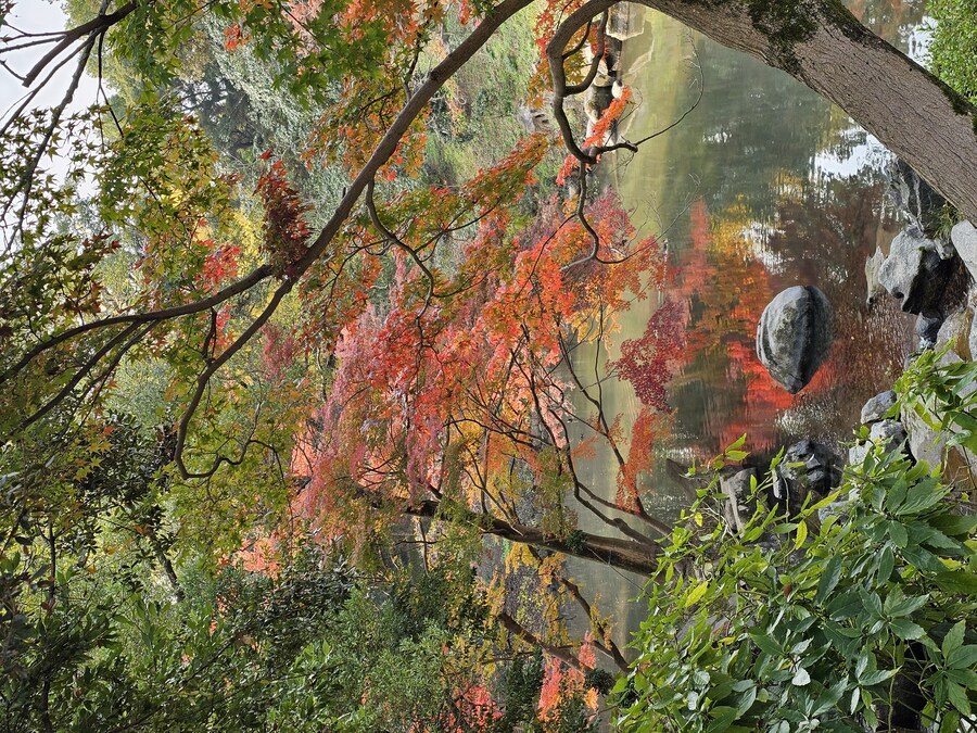 일본 세토내해 늦가을 단풍여행 - 3.오카야마-구라시키_31.jpg