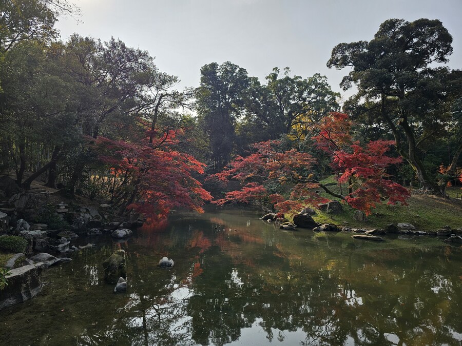 일본 세토내해 늦가을 단풍여행 - 3.오카야마-구라시키_32.jpg