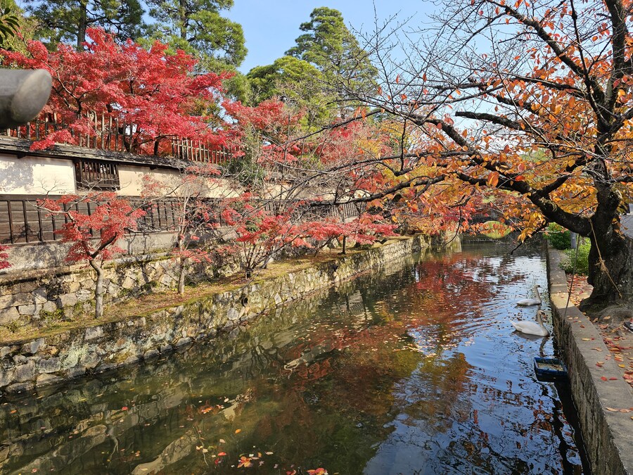 일본 세토내해 늦가을 단풍여행 - 3.오카야마-구라시키_42.jpg