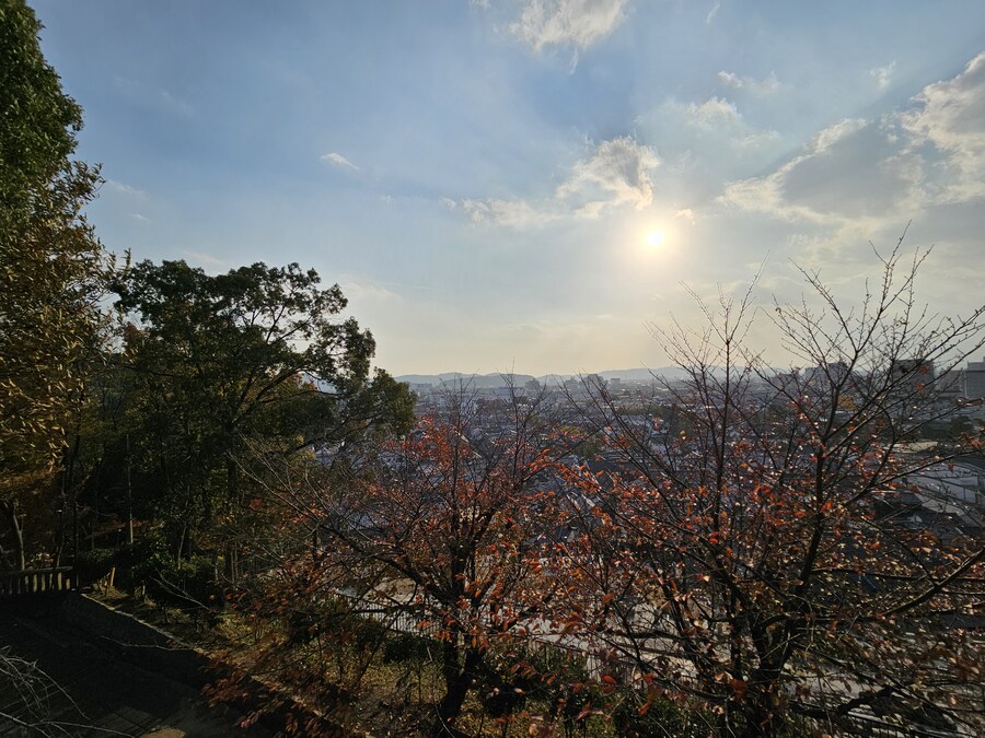 일본 세토내해 늦가을 단풍여행 - 3.오카야마-구라시키_49.jpg