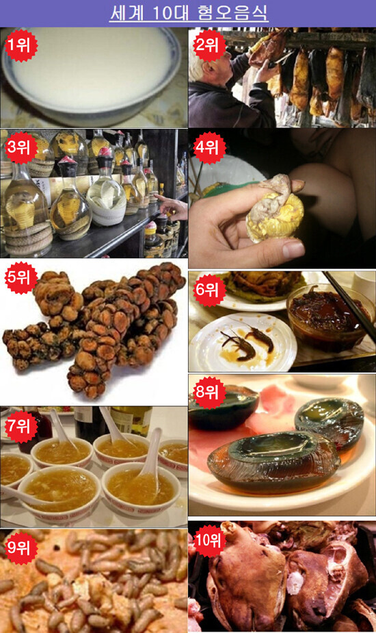 주관적 기억으로 인종차별같았던 서구권 기레기들_5.jpg