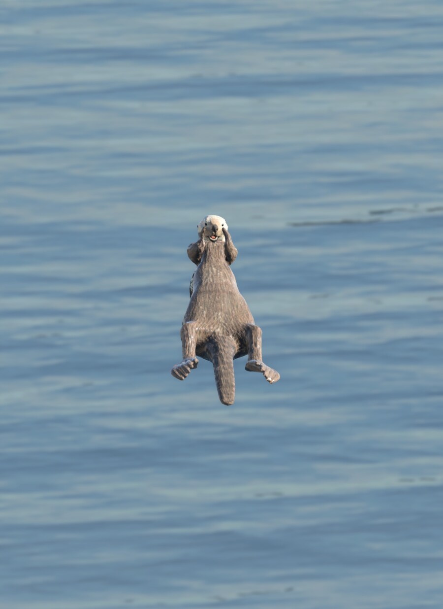 UFO, 괴수, 고양이_7.jpg