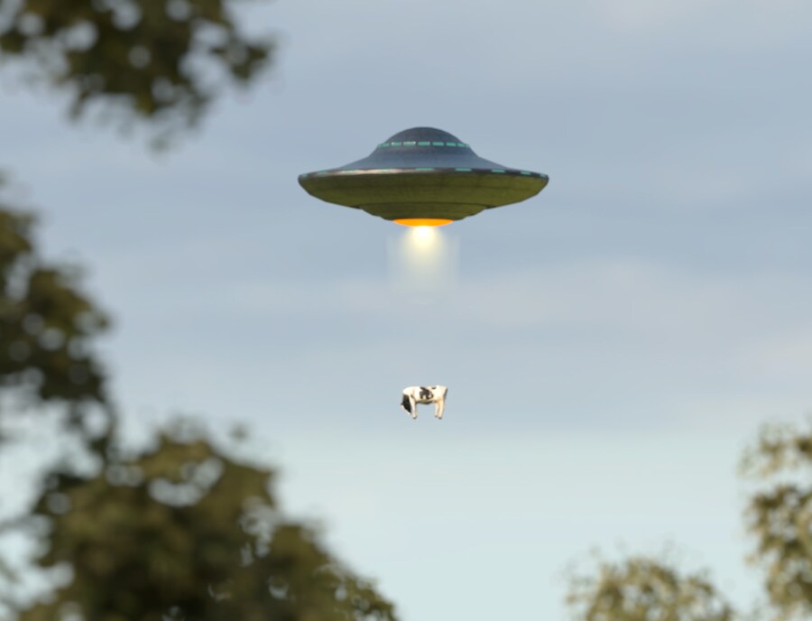 UFO, 괴수, 고양이_10.jpg