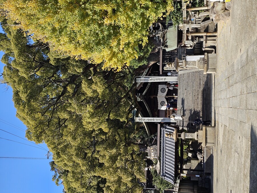 일본 세토내해 늦가을 단풍여행 - 4.오노미치-후쿠오카_17.jpg