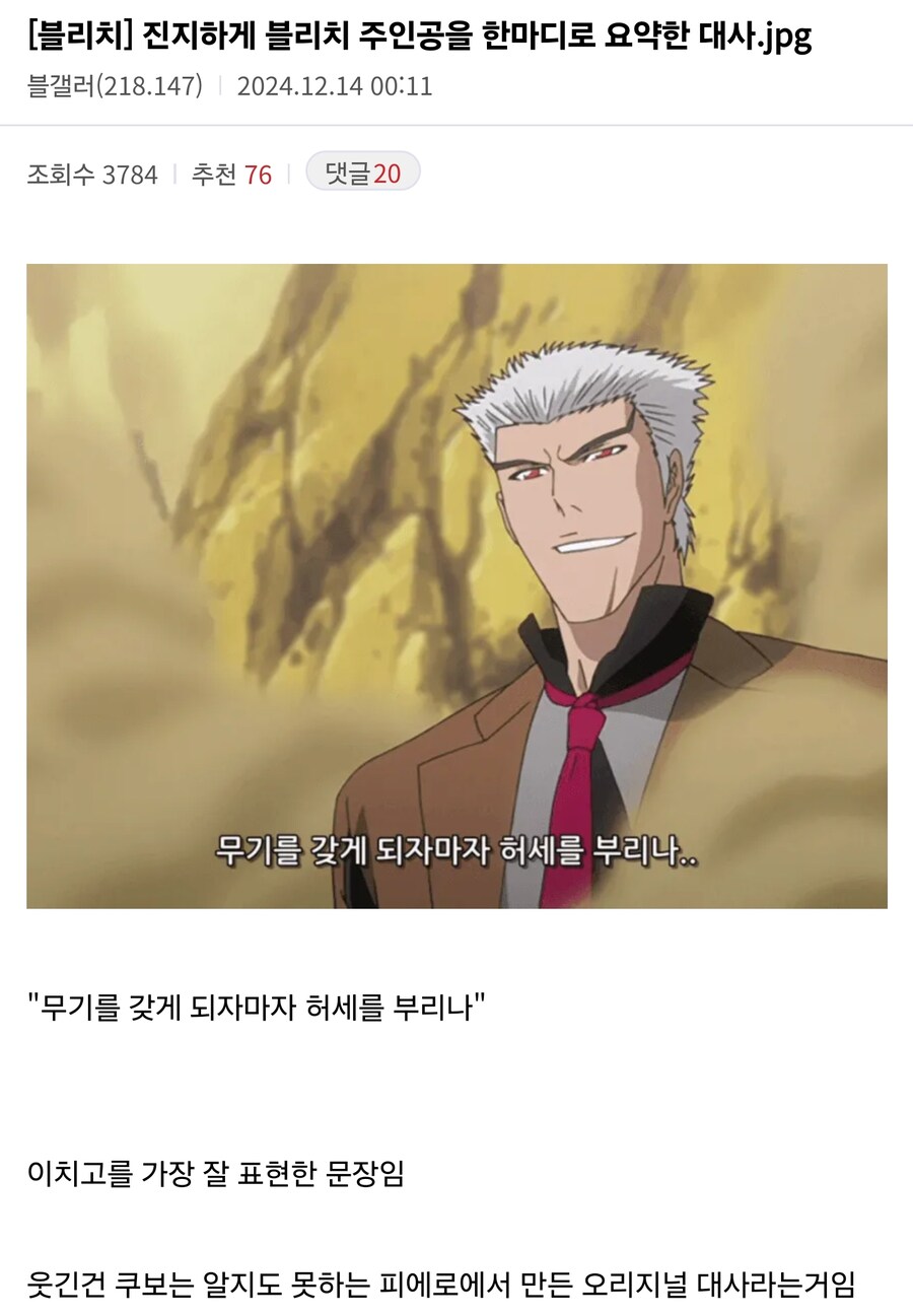 진지하게 블리치 주인공을 한마디로 요약한 대사.jpg_1.jpg